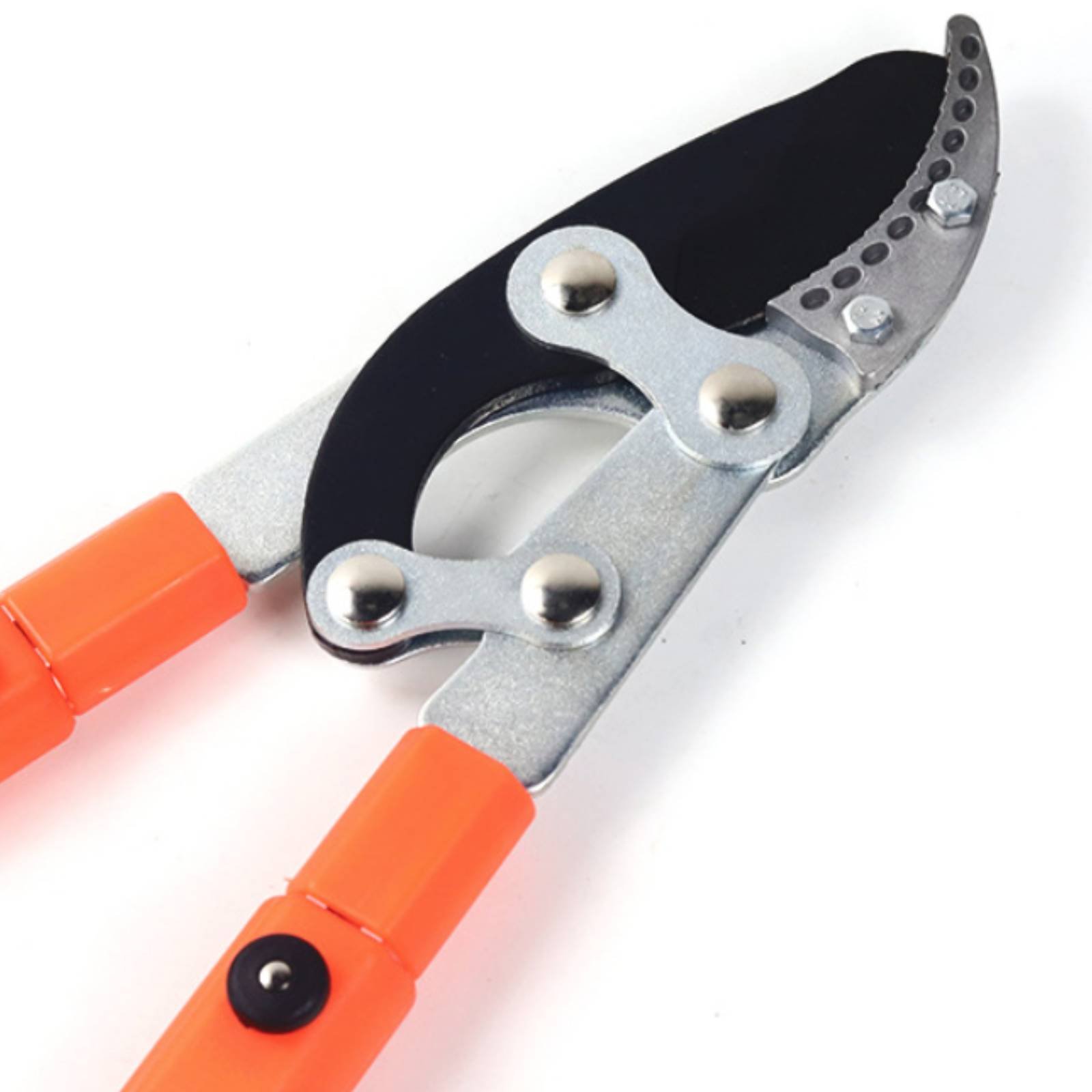 Telescopic Branch Pruners Shar - Garden Tools recension och pris
